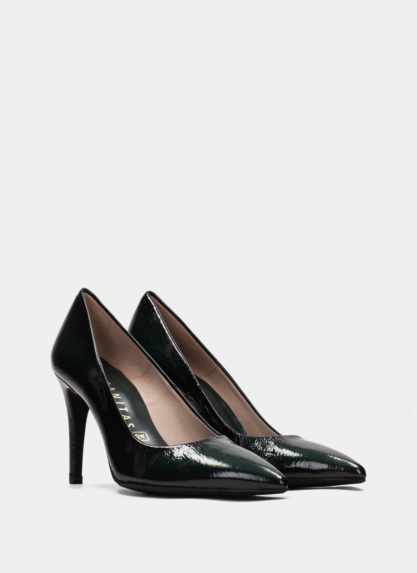 HSP 7361-250 FOREST PATENT PUMP