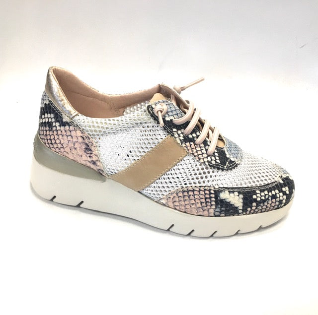 HSP 5230-250 Blush Python