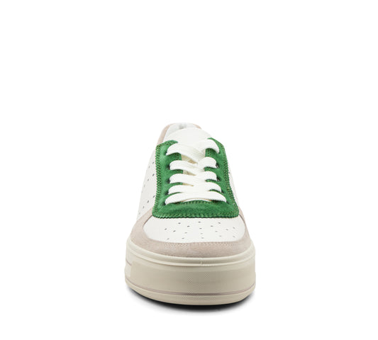 ARA  735-225  Calgary shell, cream & grass