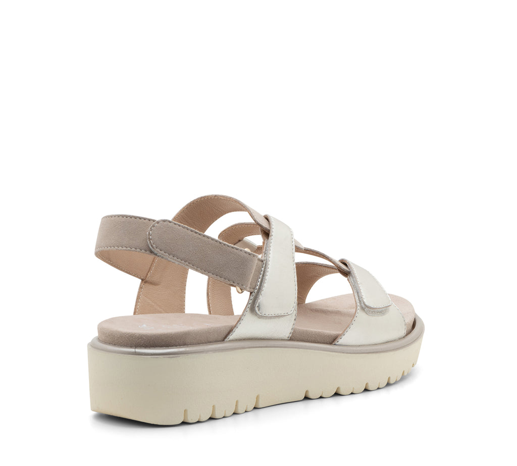 ARA 331-195 Bayview platinum & sand
