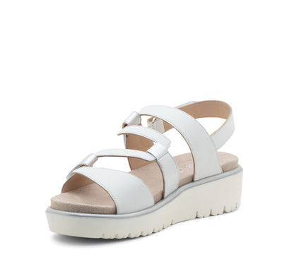 ARA 531-195 Bayview silver & fog