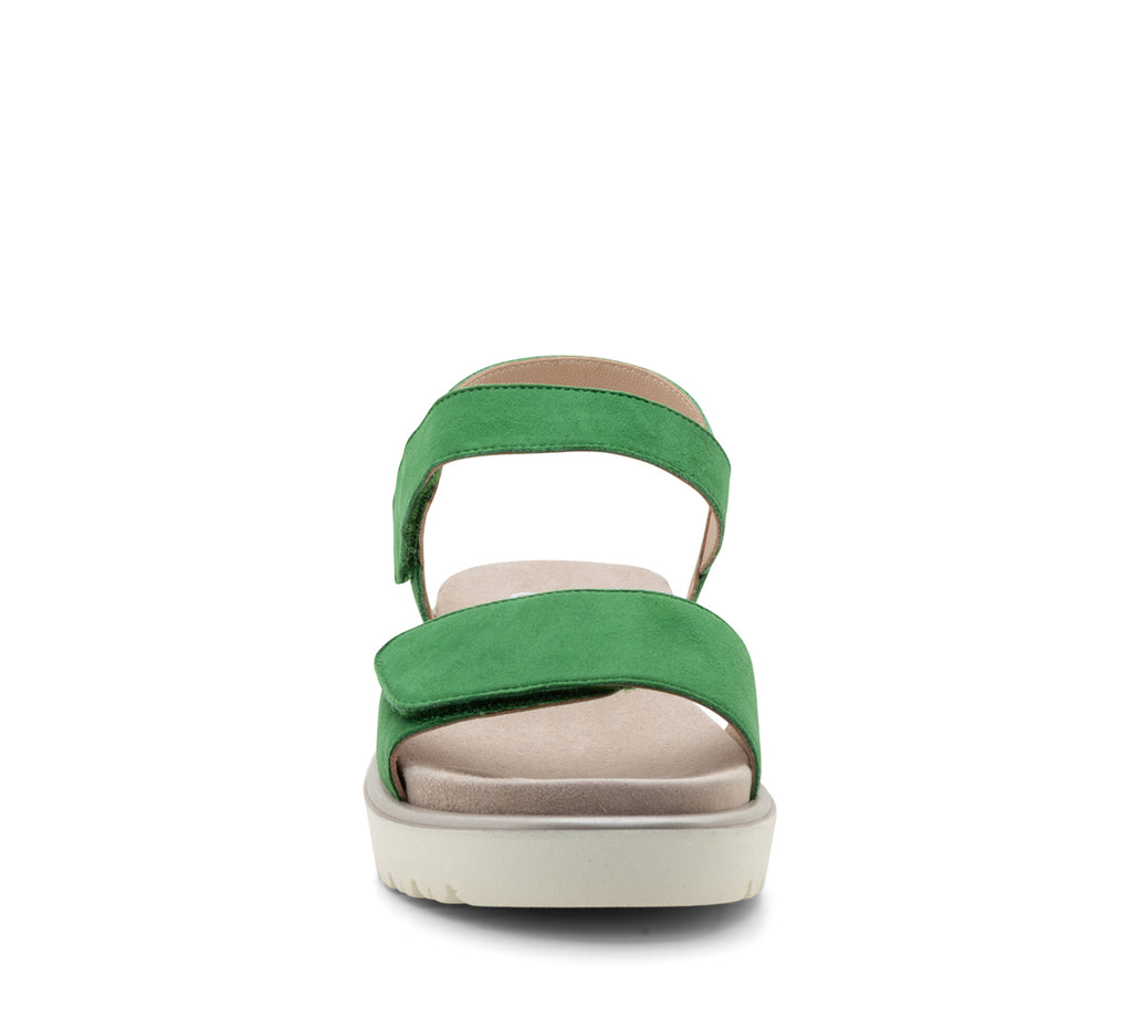 ara Bellvue 2.0 grass