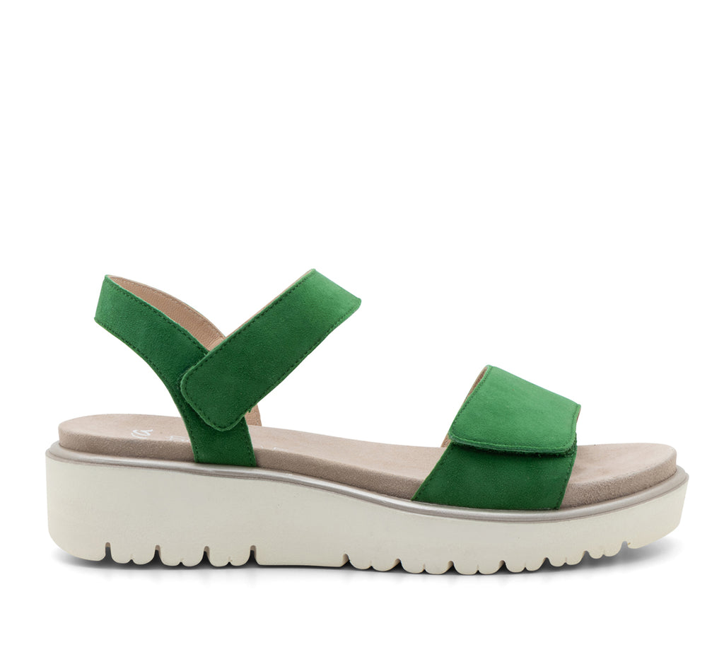 ara Bellvue 2.0 grass