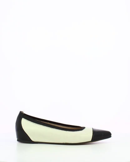 WND 1224-240 Black Off White A3803
