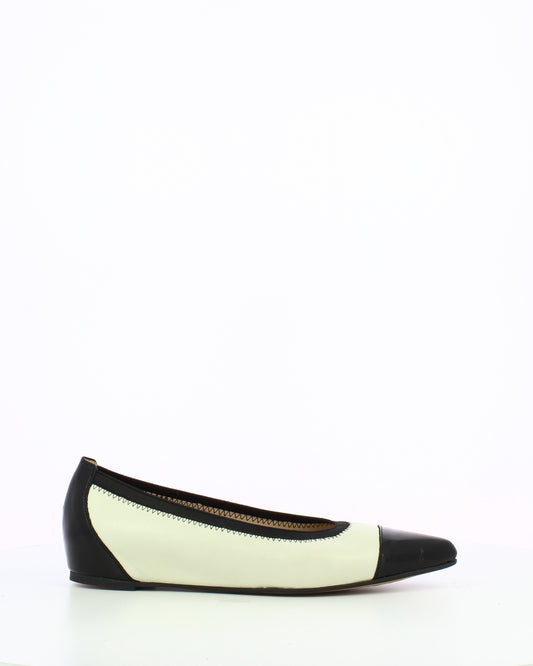 WND 1224-240 Black Off White A3803