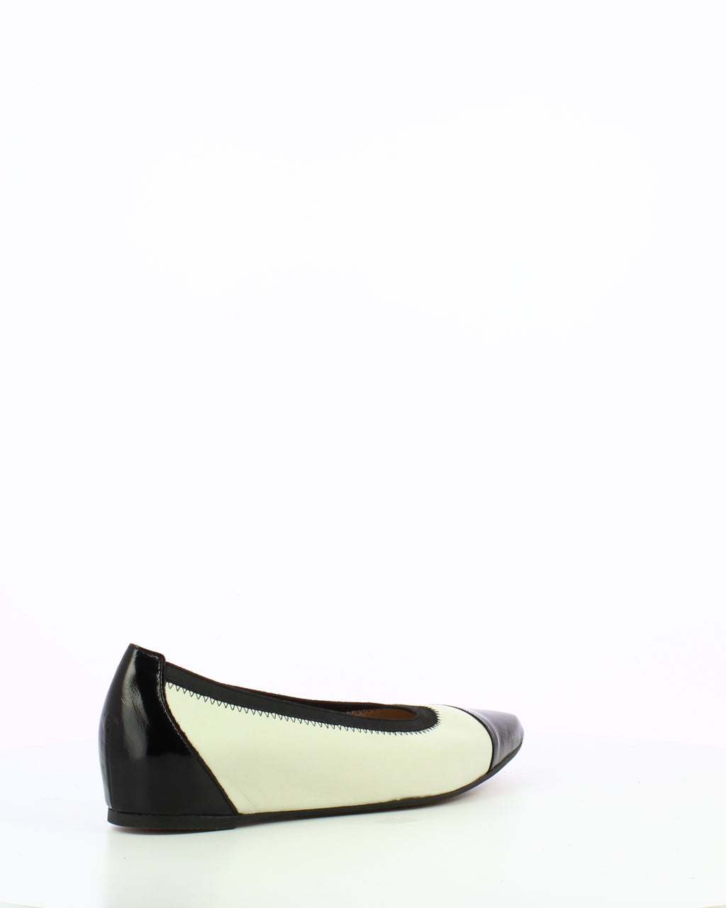 WND 1224-240 Black Off White A3803