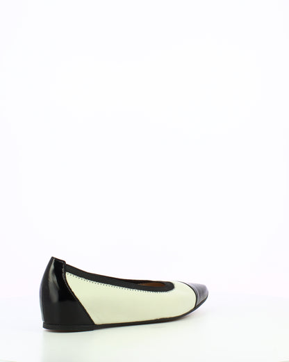WND 1224-240 Black Off White A3803