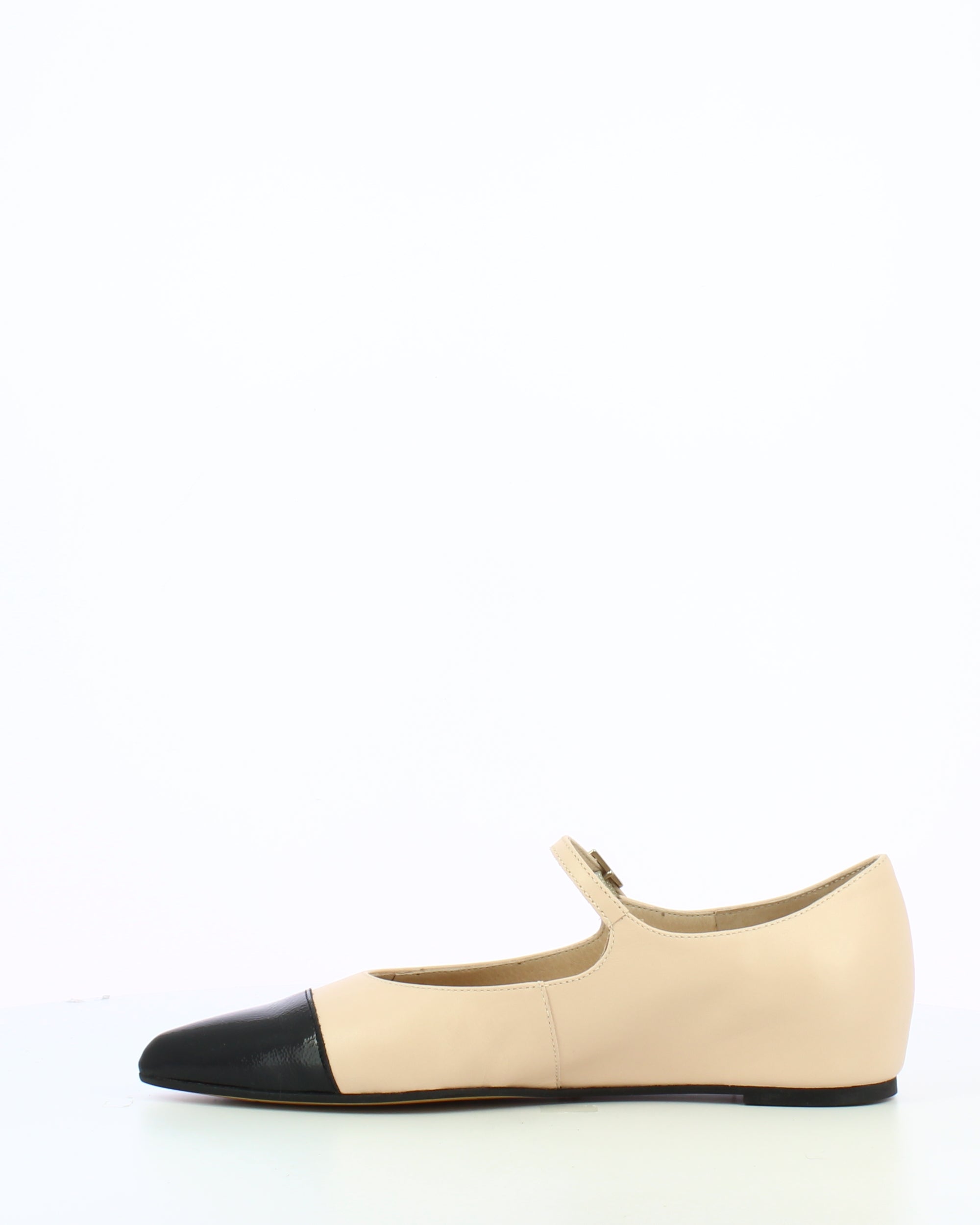 WND 1225-240 Black Cream A3820
