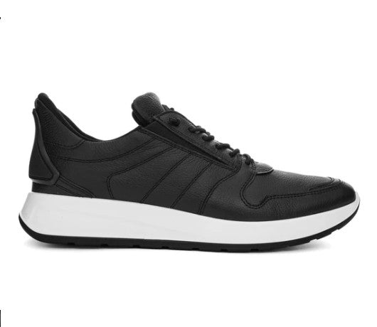 ARAM 1117-250 MALACHITE BLACK