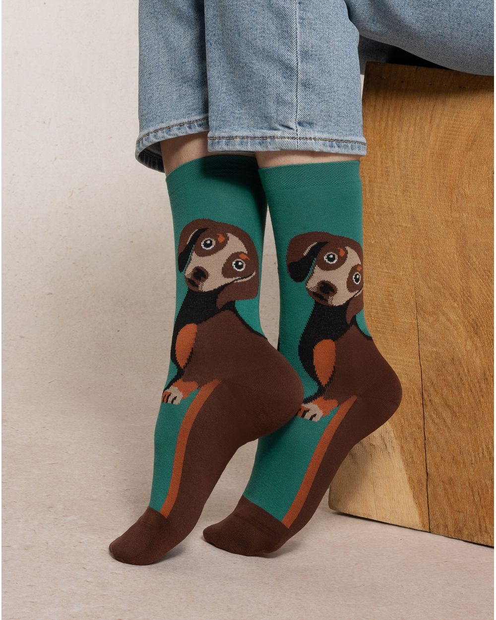 BLF 6579 PQ3 dachshund-socks