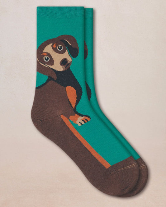 BLF 6579 PQ3 dachshund-socks