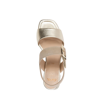 ara 799-225 Bordeaux platinum sand metallic suede