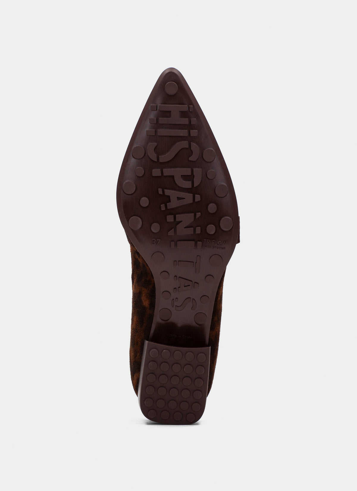 HSP 2451-325 TURIN-HI264262 LEOPARD AVELLANA