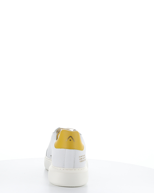 AMB 500-250 Eclipse Haven Low-Top