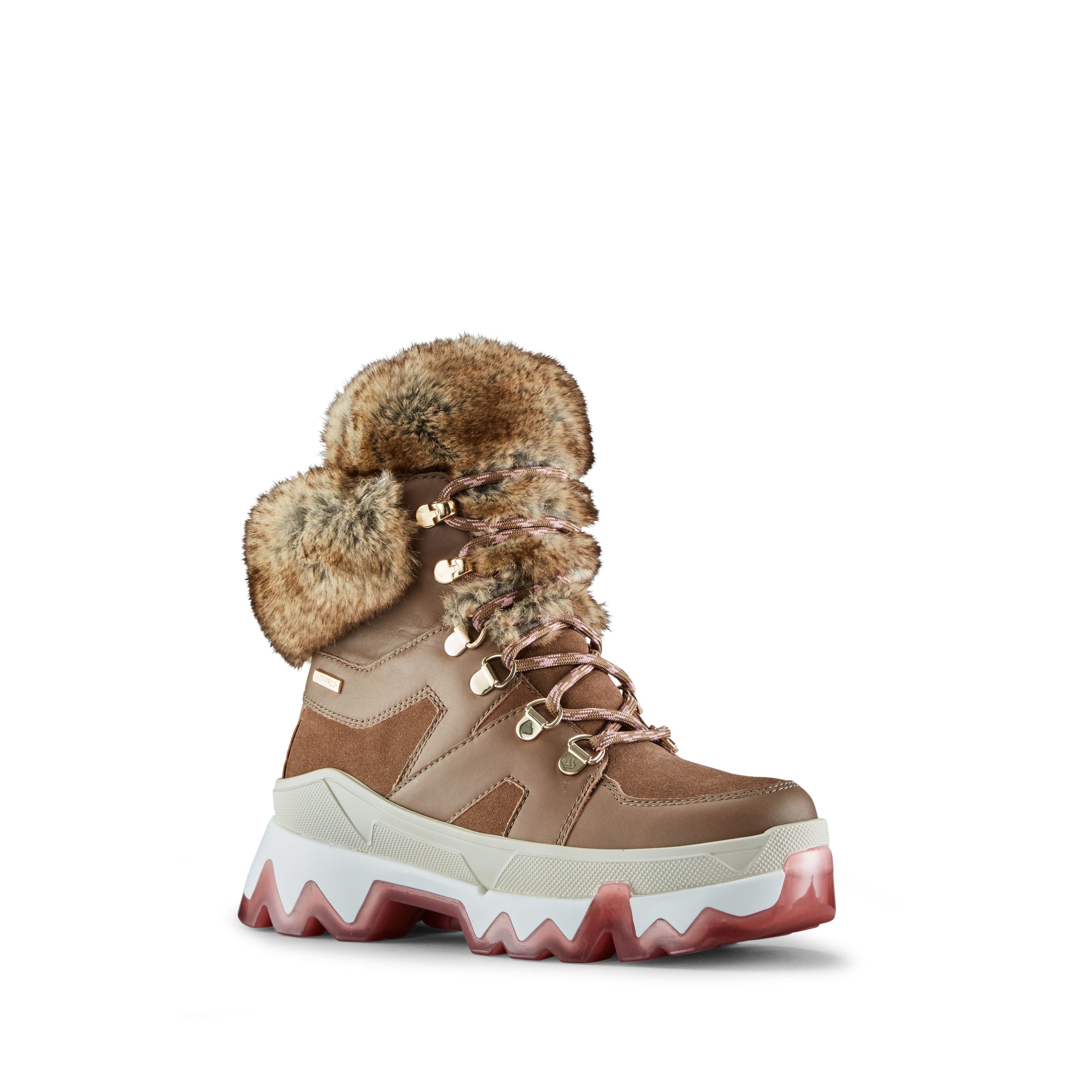 CGR Warrior-295 Draft