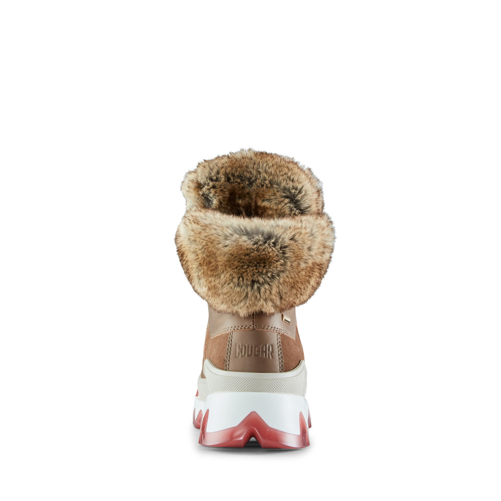 CGR Warrior-295 Draft