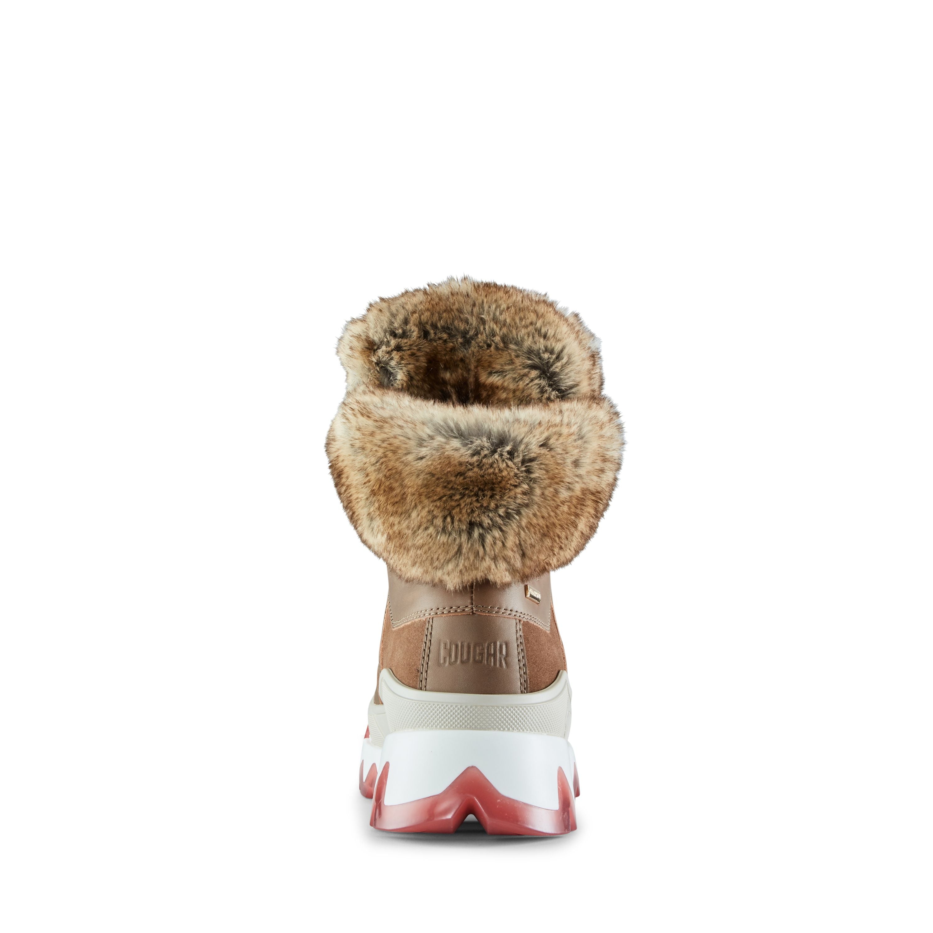 CGR Warrior-295 Draft