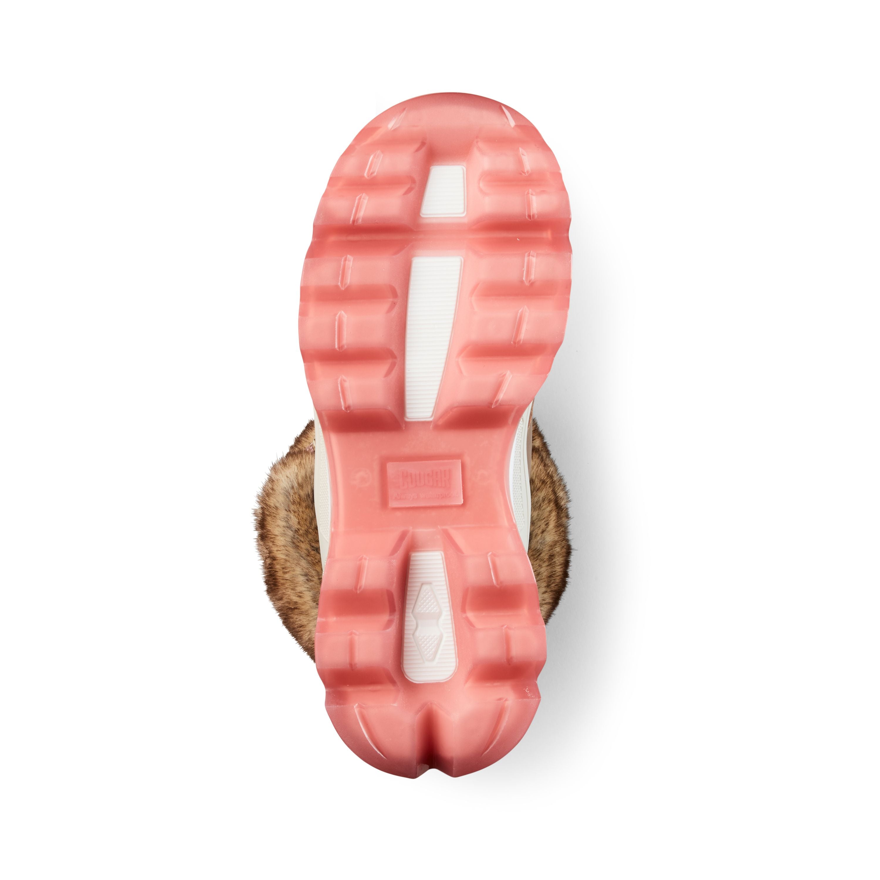 CGR Warrior-295 Draft