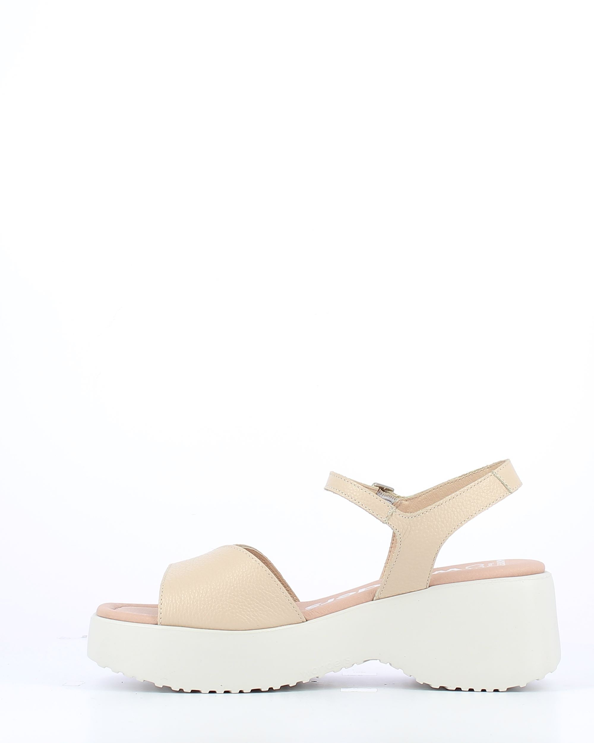 WND 3172-220 Wild Natural
