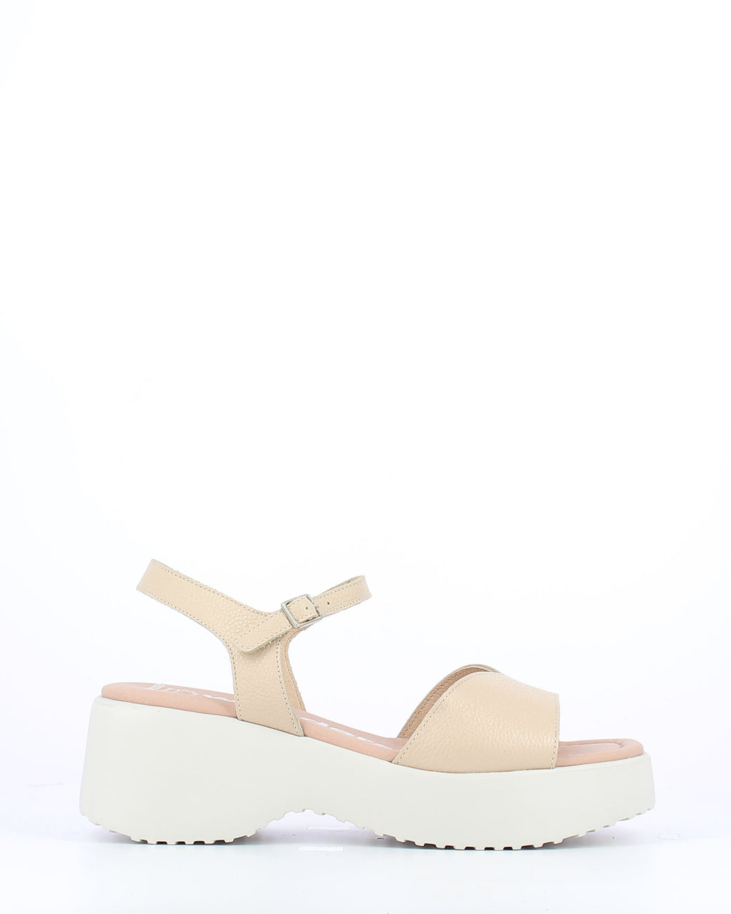 WND 3172-220 Wild Natural