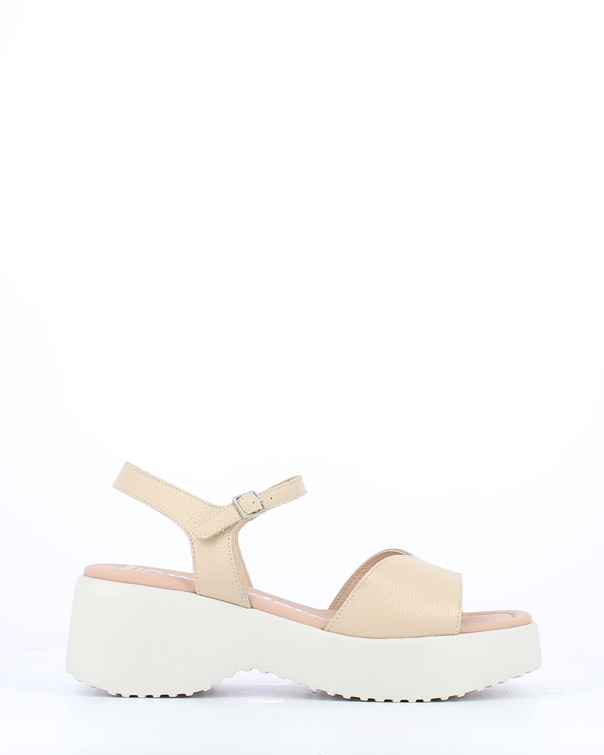 WND 3172-220 Wild Natural
