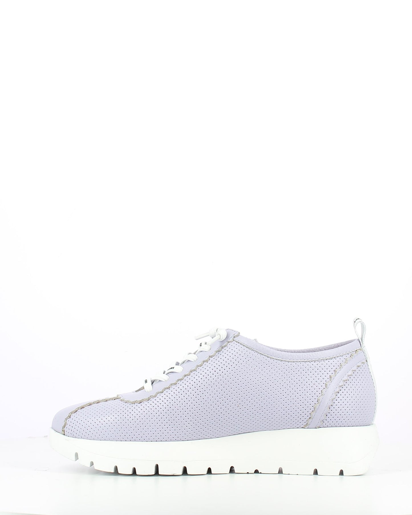 WND 9171-250 Lavender sneaker